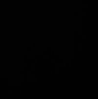 Profile picture of Lauri Roine