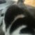 Profile picture of Teemu