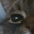 Profile picture of Toni Oksanen