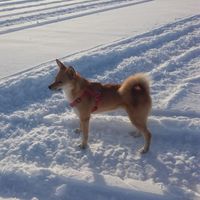 Profile picture of Kari
