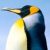 Profile picture of Tero Hakanen