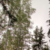 Profile picture of Juho Keskinen