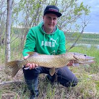 Profile picture of Lasse Nikkari