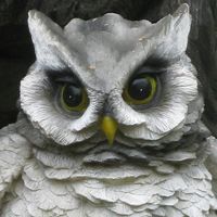 Profile picture of Roosa Koistinen