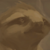 Profile picture of Brouski