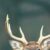 Profile picture of Pete