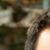 Profile picture of Huse